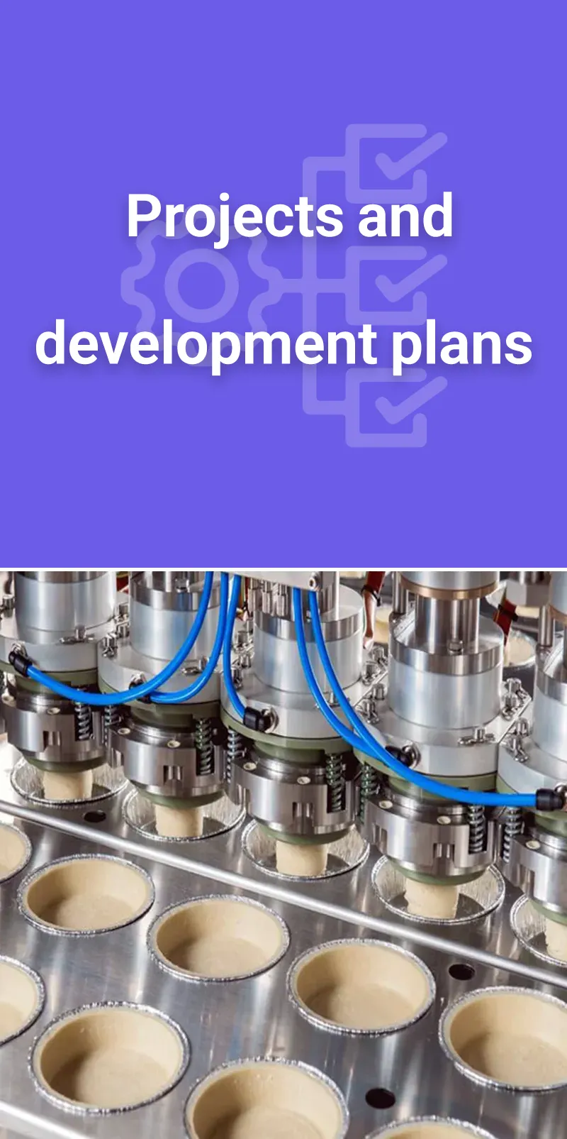 ShirinNovin Development Projects and Plans